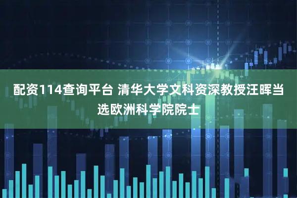 配资114查询平台 清华大学文科资深教授汪晖当选欧洲科学院院士