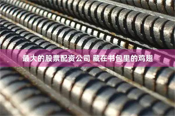 最大的股票配资公司 藏在书包里的鸡翅